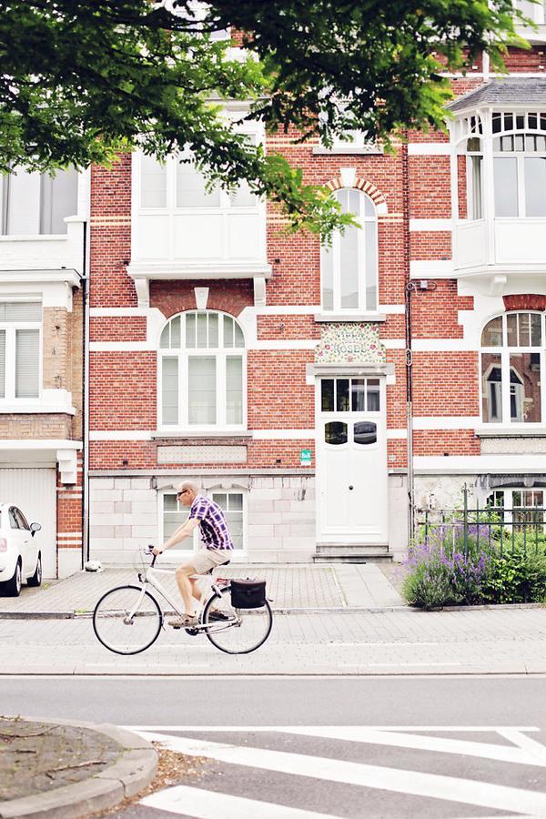 B&B Villa Des Roses Hasselt Dış mekan fotoğraf